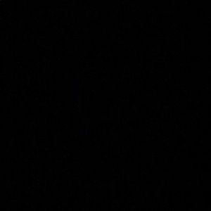 Meet your Posher, Harry